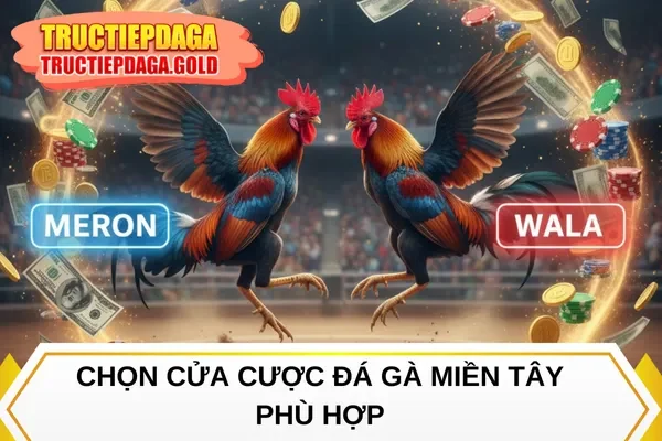 Chọn cửa cược đá gà miền Tây phù hợp