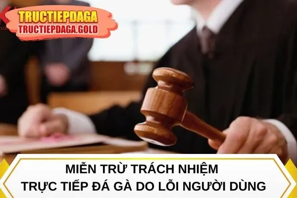 Miễn trừ trách nhiệm Trực Tiếp Đá Gà do lỗi người dùng