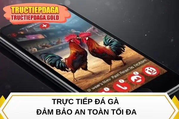 Trực Tiếp Đá Gà đảm bảo an toàn tối đa